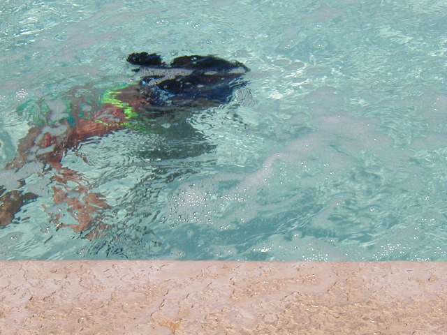 P9020745.JPG