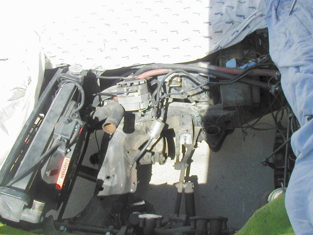 P3020119.JPG