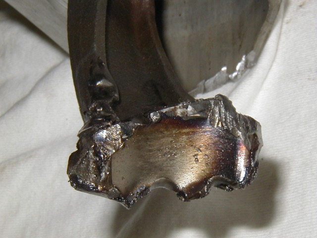 P3090201.JPG