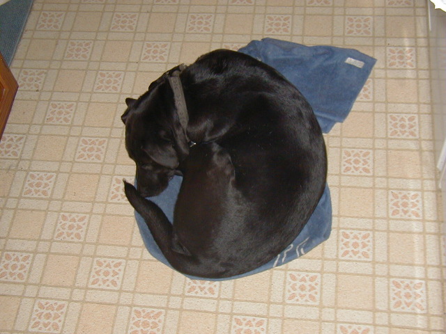 P1010001.JPG