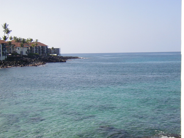P3050005.JPG