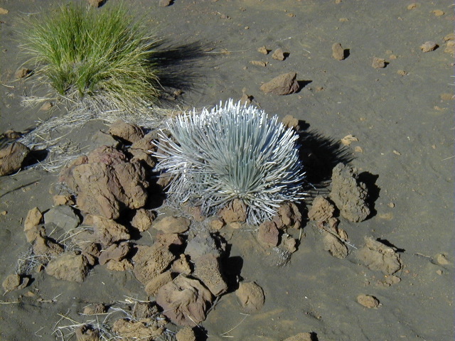 P3100031.JPG