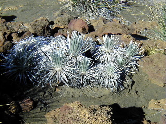 P3100032.JPG