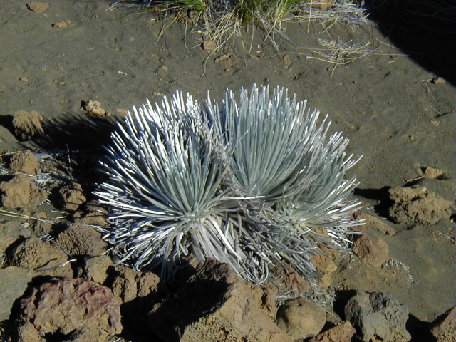 P3100033.JPG