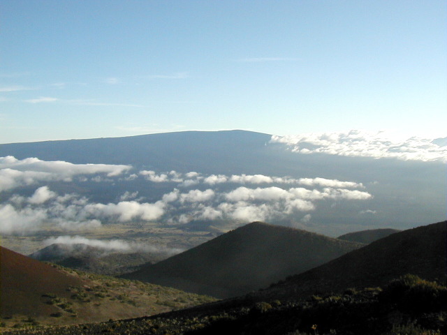 P3100034.JPG