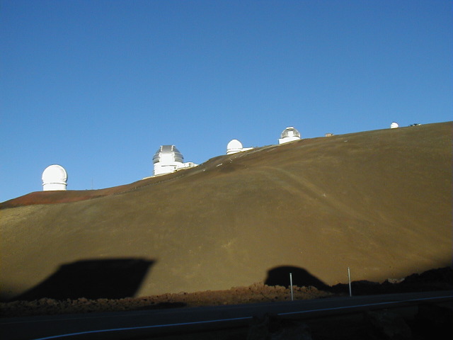 P3100035.JPG