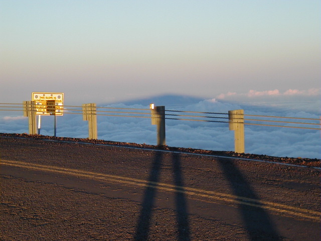 P3100039.JPG