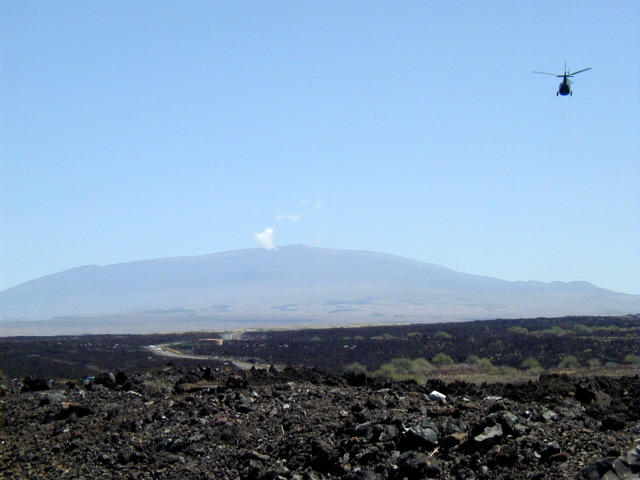 P3110065.JPG