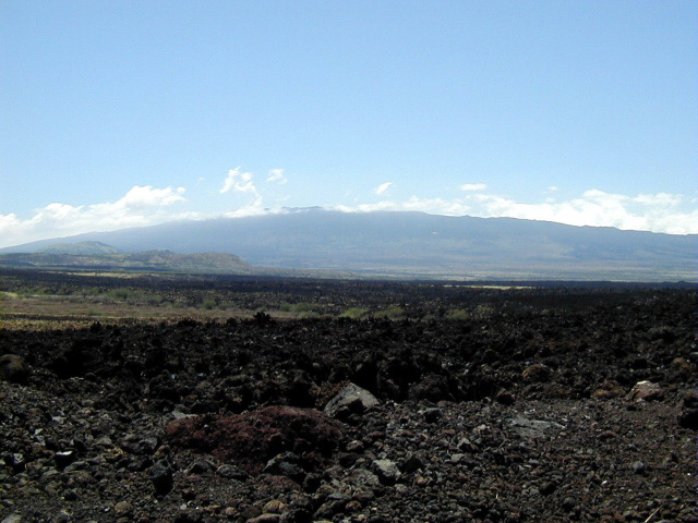 P3110066.JPG