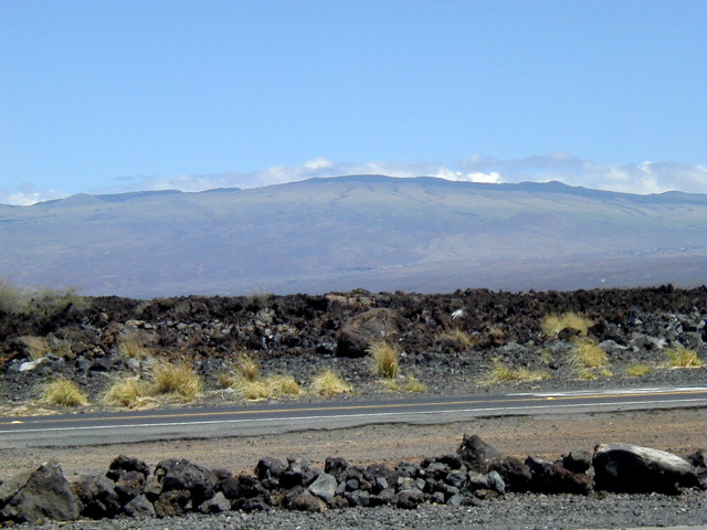 P3110067.JPG