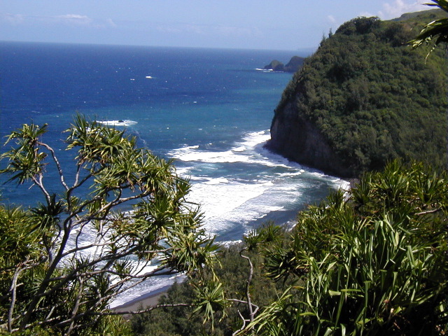 P3110071.JPG