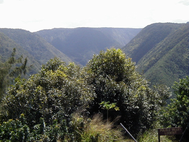 P3110073.JPG