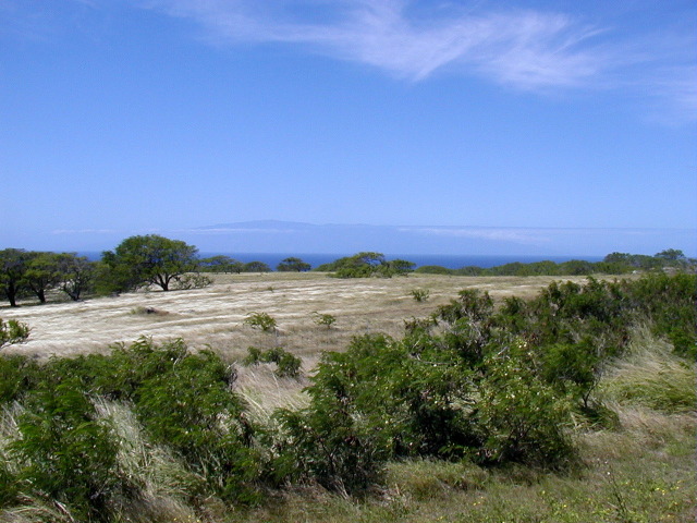 P3110074.JPG