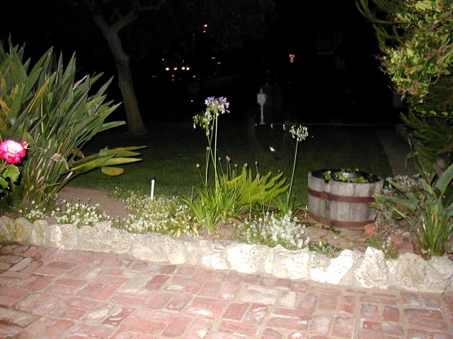 P8120431.JPG