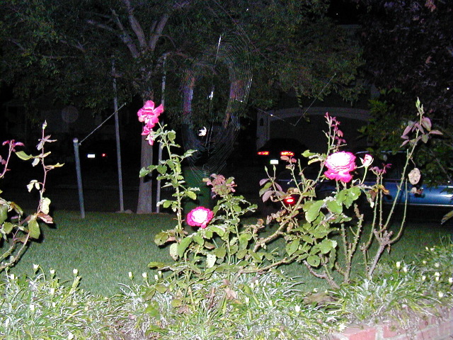 P8120432.JPG