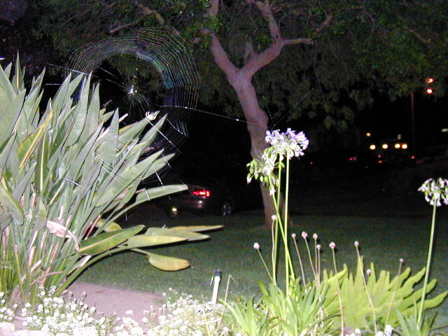P8120434.JPG