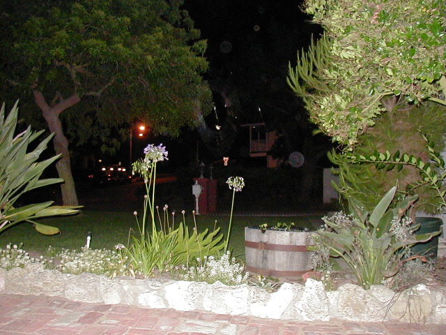 P8120435.JPG