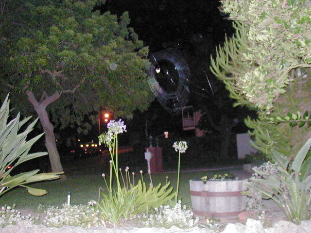 P8120436.JPG