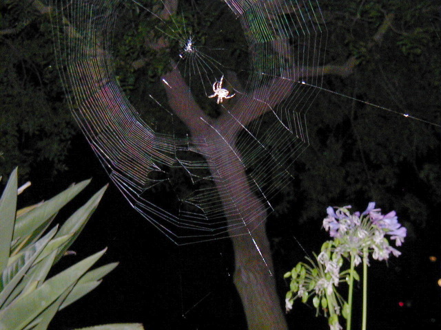 P8120437.JPG