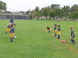2005 SOCCER 001
