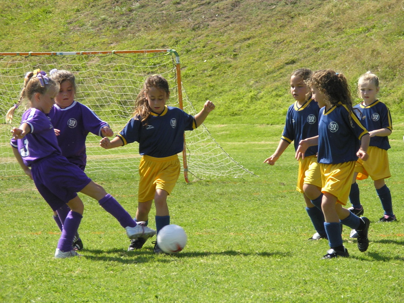 PA090859.JPG