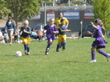 PA090863.JPG