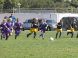 PA090865.JPG