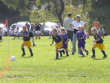 PA090851.JPG