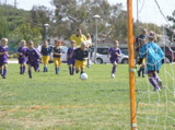 PA090870.JPG