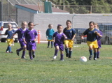 PA090875.JPG