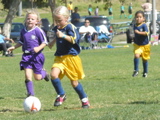 PA090879.JPG