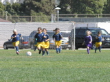 PA090881.JPG