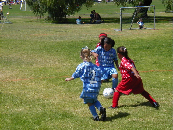P9110776.JPG