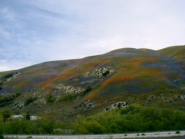 P5010033.JPG