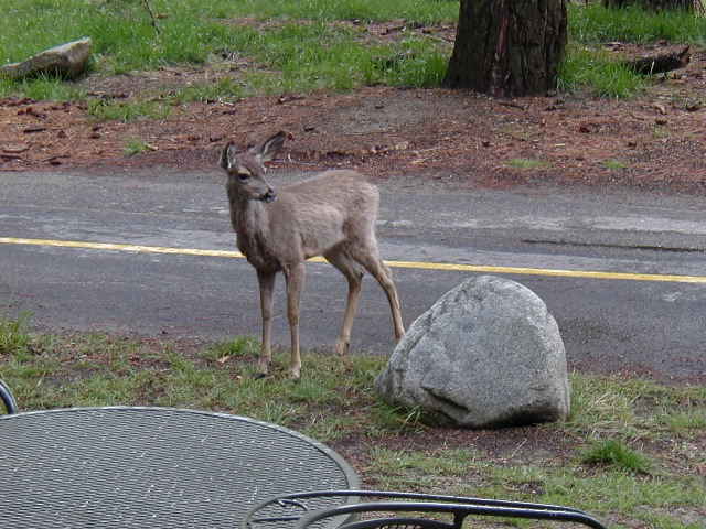 P5030076.JPG