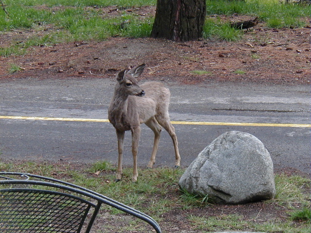 P5030077.JPG
