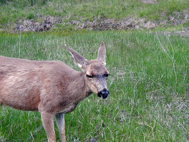 P5040102.JPG