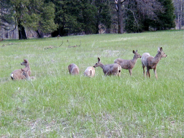 P5040103.JPG