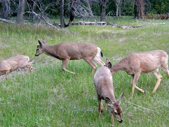 P5040104.JPG
