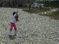 P5030053.JPG