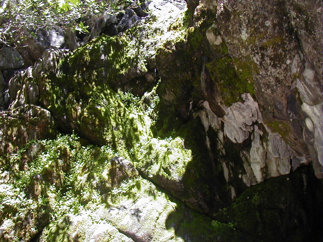 P5050180
