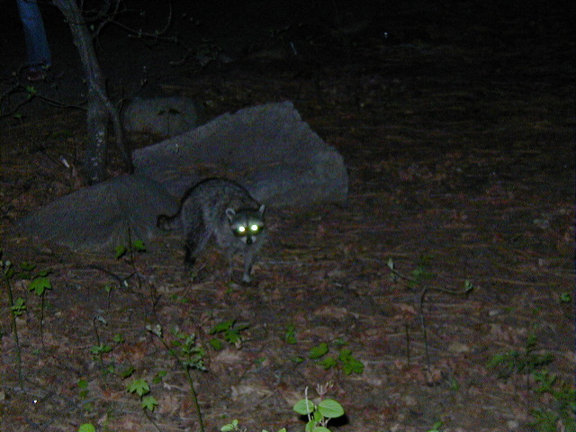 P5030152