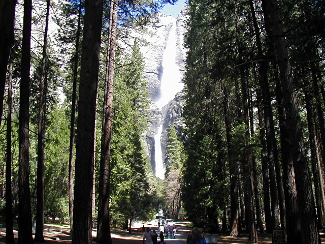 P5040154