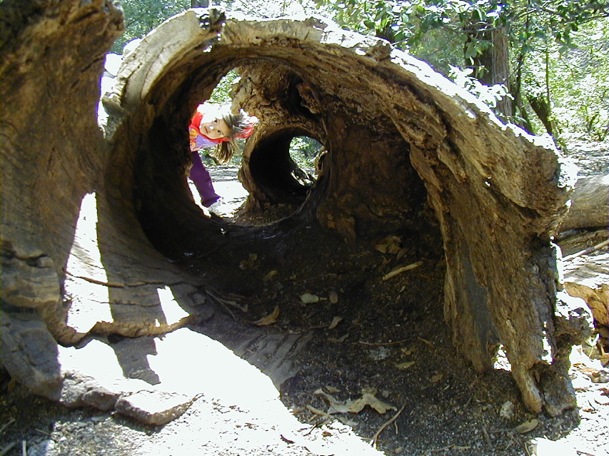 P5030090