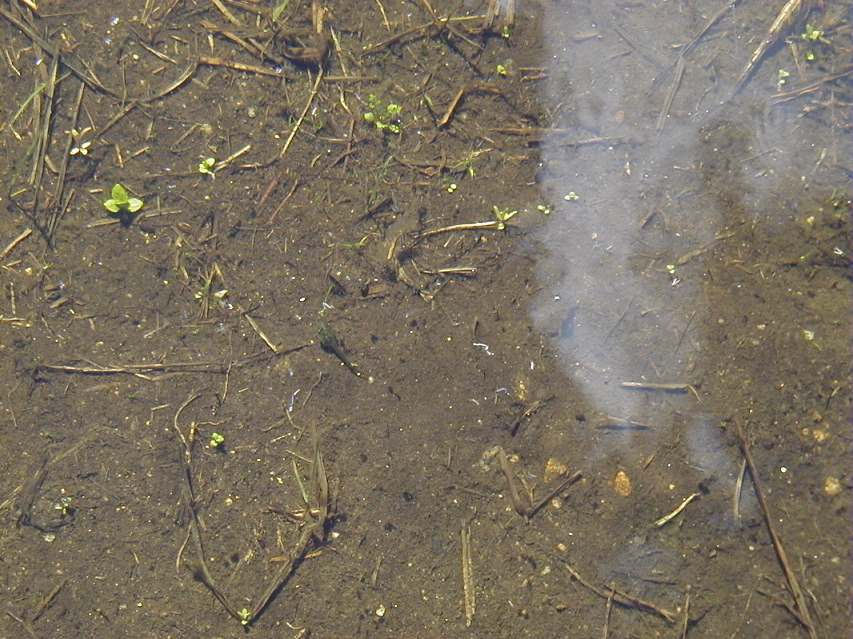 P5050134