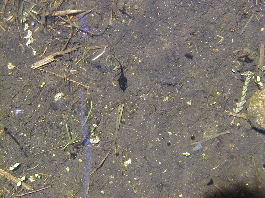 P5050135