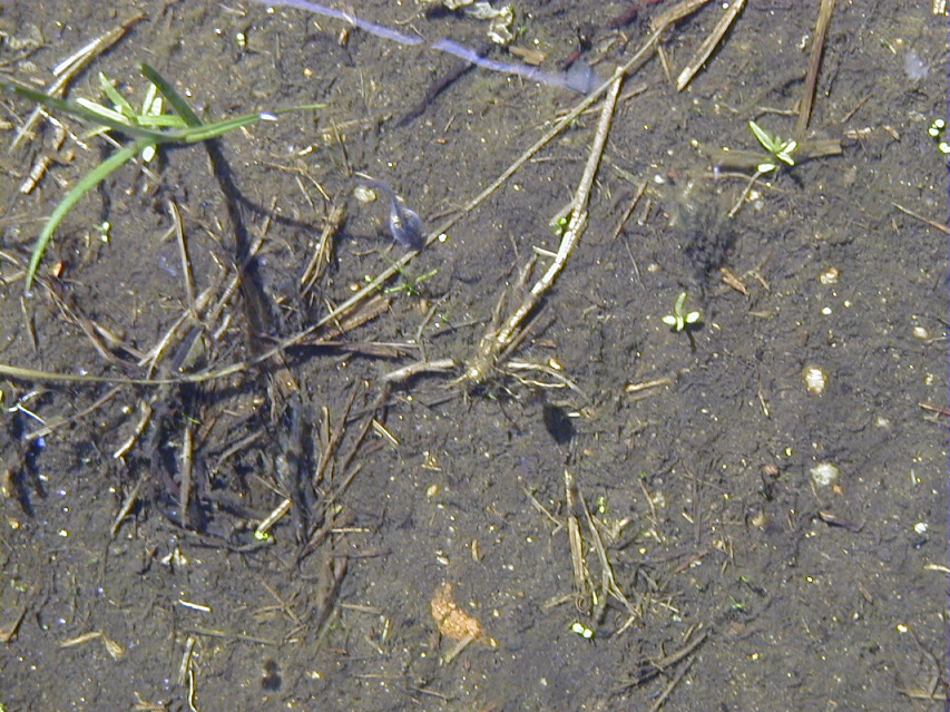 P5050136