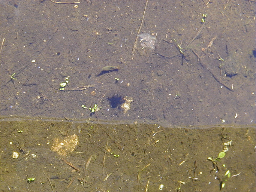 P5050137