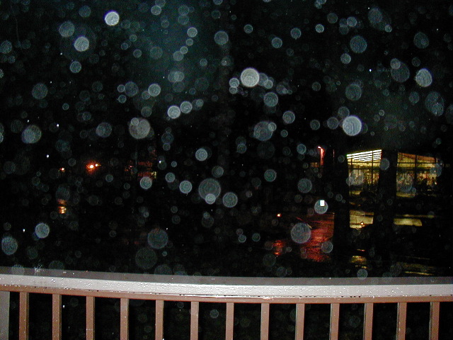 P2190938.JPG