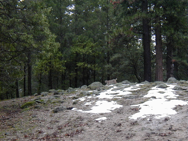 P2200944.JPG